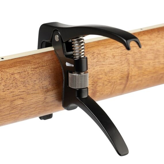 CASCHA Deluxe, 10 image