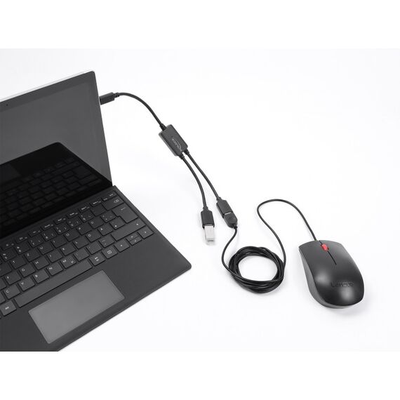 DeLOCK 64373 Schnittstellen-Hub USB Typ-C 5000 Mbit/s Schwarz, 2 image