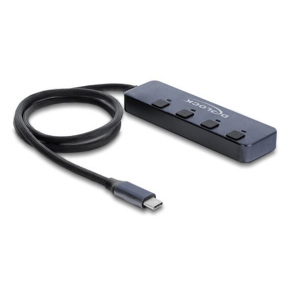 DeLOCK 64384 Schnittstellen-Hub USB Typ-C 10000 Mbit/s Grau