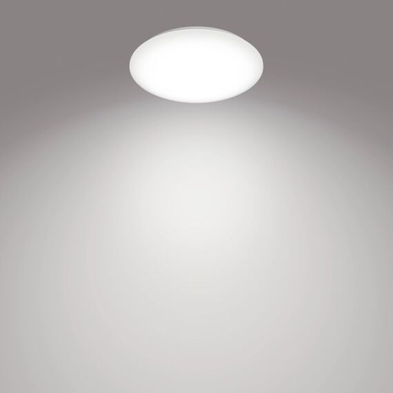 Philips Funktional Moire Deckenleuchte, 20 W, 2 image