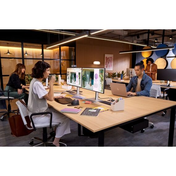 HP 925 Ergonomische vertikale Maus, 29 image