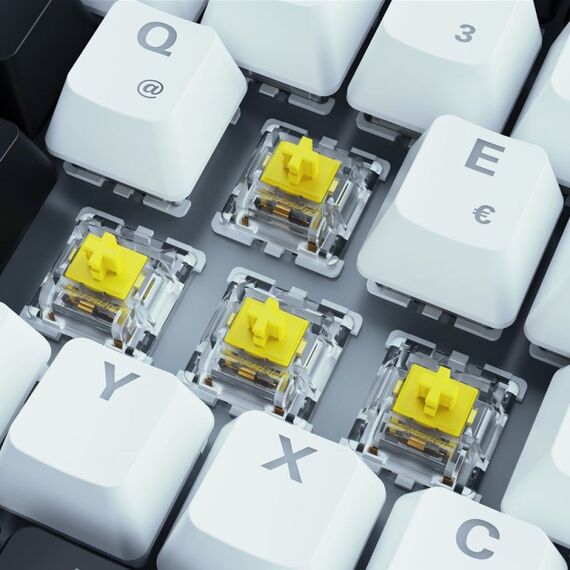 Sharkoon SKILLER SGK50 S3 Tastatur Gaming USB QWERTZ Deutsch Weiß, 2 image