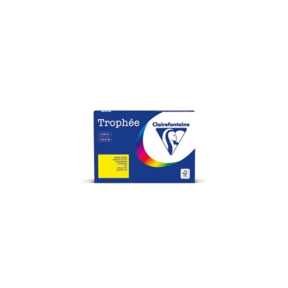 Clairefontaine 1293PC Kunstdruckpapier Kunstpapier 500 Blätter