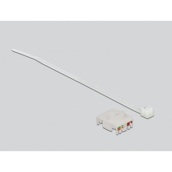 DeLOCK Kabelverbinder RJ45 Buchse zu Cat.6A LSA mit Verschlusskappe wasserfest, 2 image