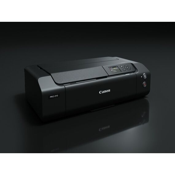Canon imagePROGRAF PRO-310 Tintenstrahldrucker Farbe 4800 x 2400 DPI A3+ WLAN, 10 image