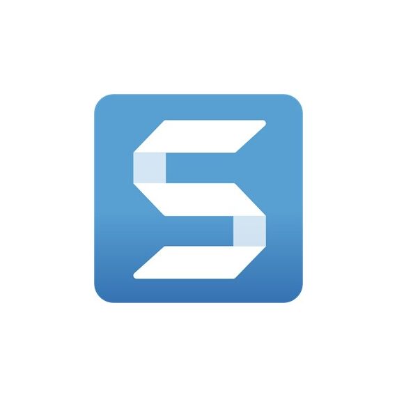 TechSmith Snagit 10 - 99 Lizenz(en) Bildschirmschoner 3 Jahr(e)