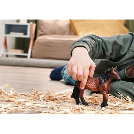 schleich FARM WORLD 14927 Kinderspielzeugfigur, 3 image