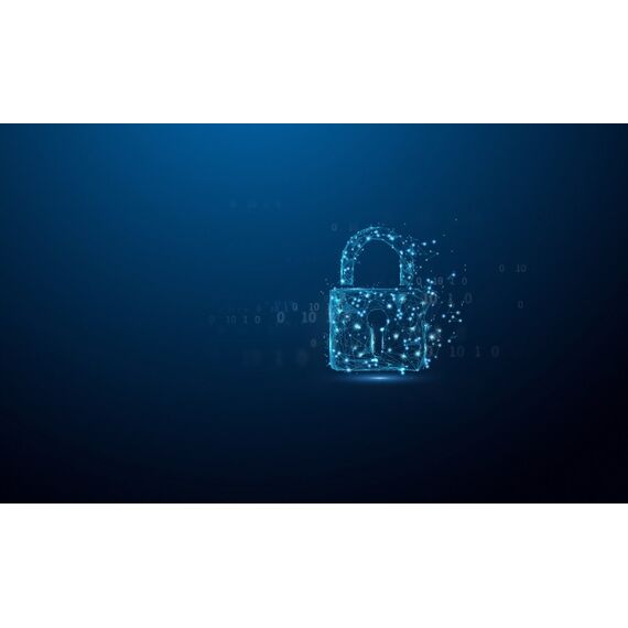 Kingston Technology IronKey 256GB Locker Plus 50 G2, FIPS 197, AES-256, Kapazität: 256 GB, 10 image