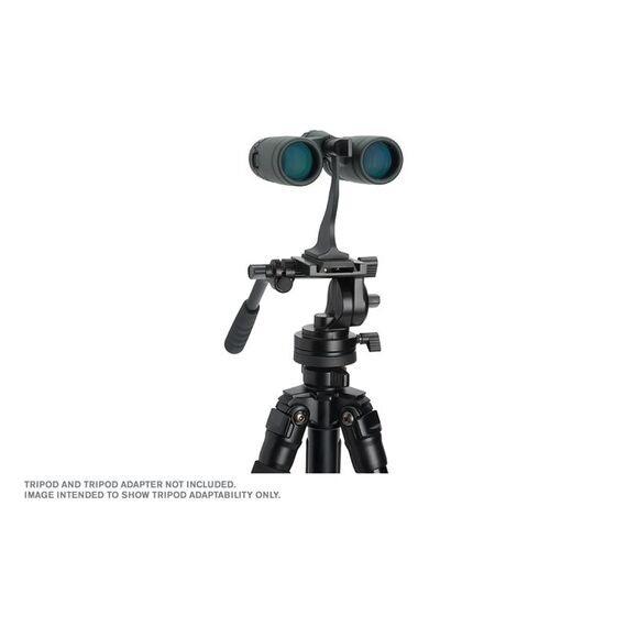 Celestron TrailSeeker 8x32 Fernglas BaK-4 Grün, 4 image