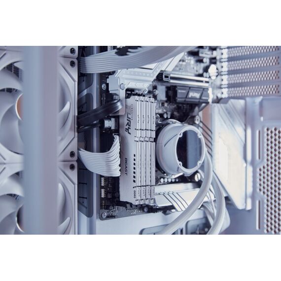 Kingston Technology FURY Beast 16GB 6000MT/s DDR5 CL36 DIMM White EXPO, 5 image