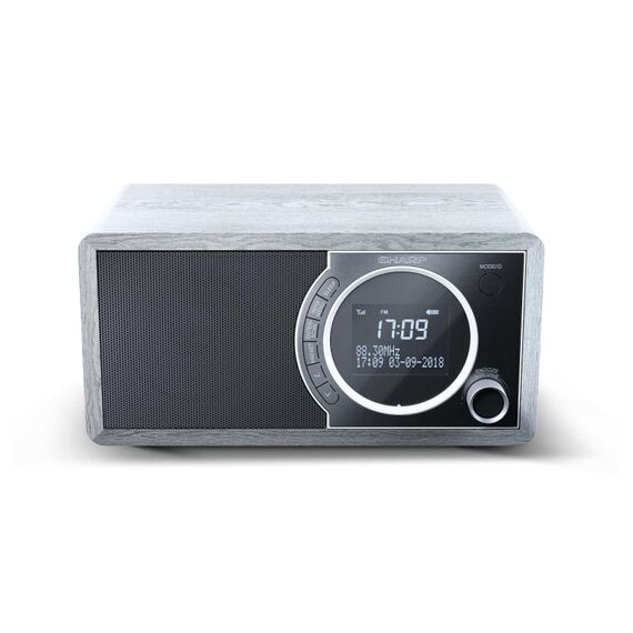 Sharp DR-450 Persönlich Digital Grau, Edelstahl