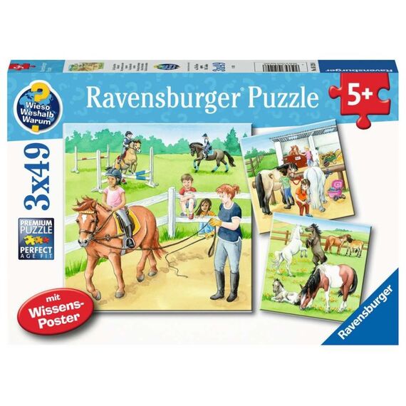 Ravensburger WWW, Ein Tag auf dem Reiterhof