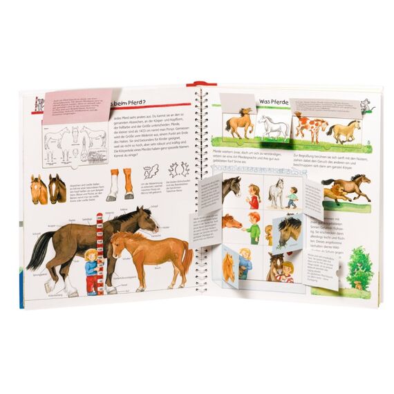 Ravensburger Alles über Pferde und Ponys, 3 image