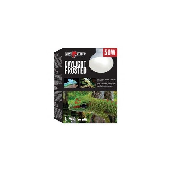 Repti Planet 007-41022 Reptilien-Heizlampe 50 W 1 Stück(e)