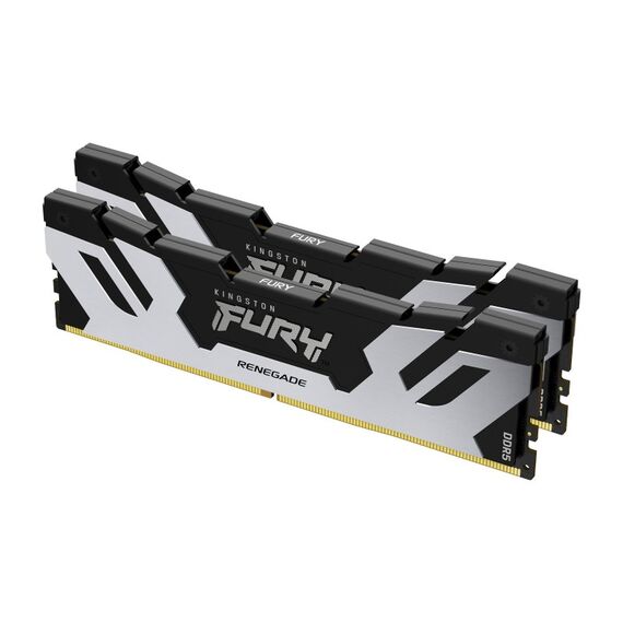 Kingston Technology FURY 48GB 8000MT/s DDR5 CL38 DIMM (2er-Kit) Renegade Silver