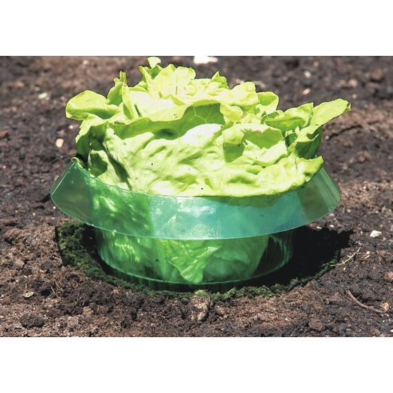 Windhager 02435 Pflanzenabdeckhaube Grün
