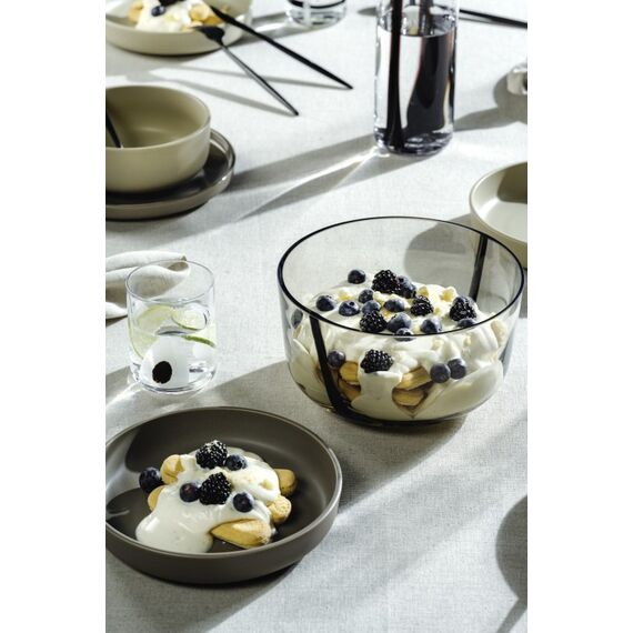 LEONARDO ALVEO Obstschale 2,5 l Rund Glas Graubraun 1 Stück(e), 4 image