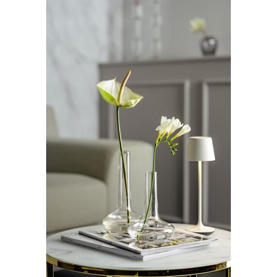 LEONARDO ARIA Vase Rübenförmige Vase Glas Transparent, 2 image
