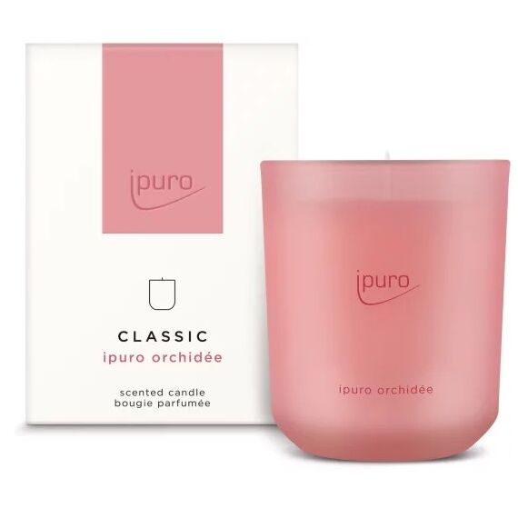 ipuro 061.4186.00 Wachskerze Zylinder Rose 1 Stück(e)