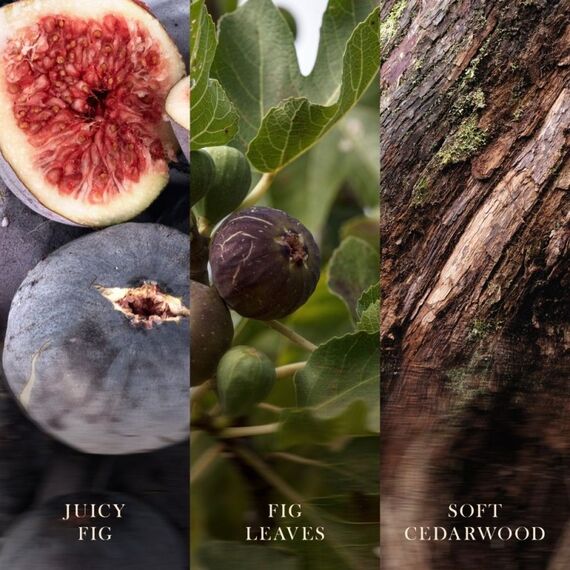 WoodWick Verdant Fig Wachskerze Zylinder Feigenbaum Grün 1 Stück(e), 3 image