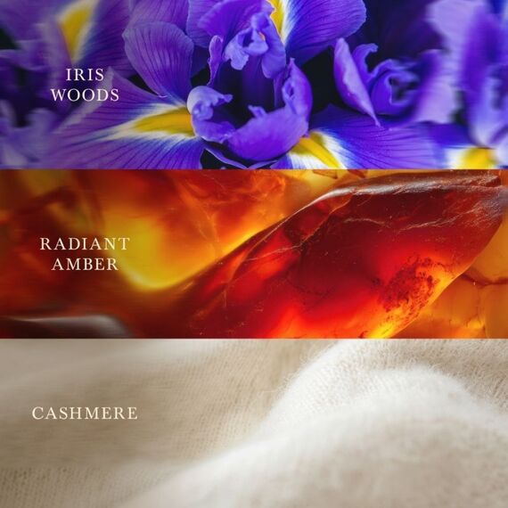 WoodWick Radiant Cashmere Wachskerze Zylinder Kaschmirhölzer Braun 1 Stück(e), 2 image