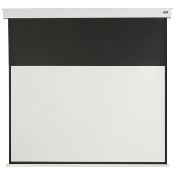 Celexon Professional Plus Projektionsleinwand 144,8 cm (57") 16:9