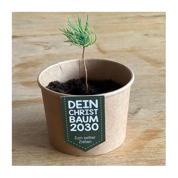 Wunderle Geschenkset Weihnachtsbaum, 2 image