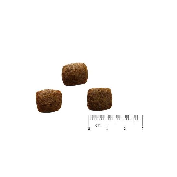 kyli Hypoallergenic VegetariaDog 12 kg Adult Gemüse, 3 image