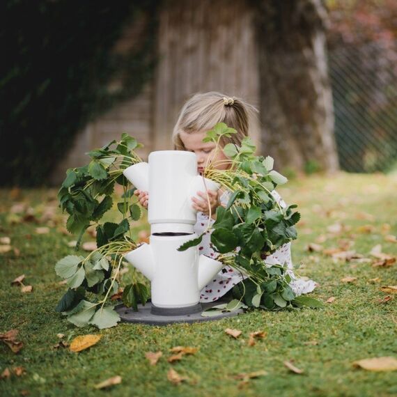 Gusta Garden Sissi Strawberry Starter Draußen Vertikale Pflanzmaschine Freistehend Polypropylen (PP) Weiß