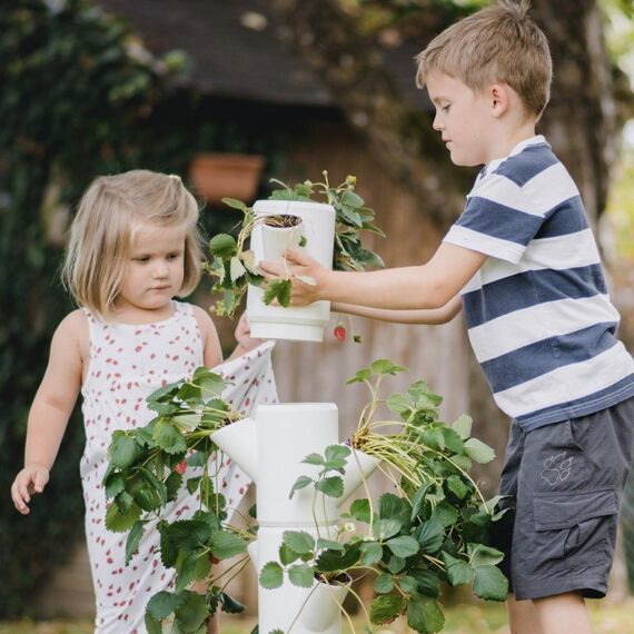 Gusta Garden Sissi Strawberry Starter Draußen Vertikale Pflanzmaschine Freistehend Polypropylen (PP) Weiß, 2 image