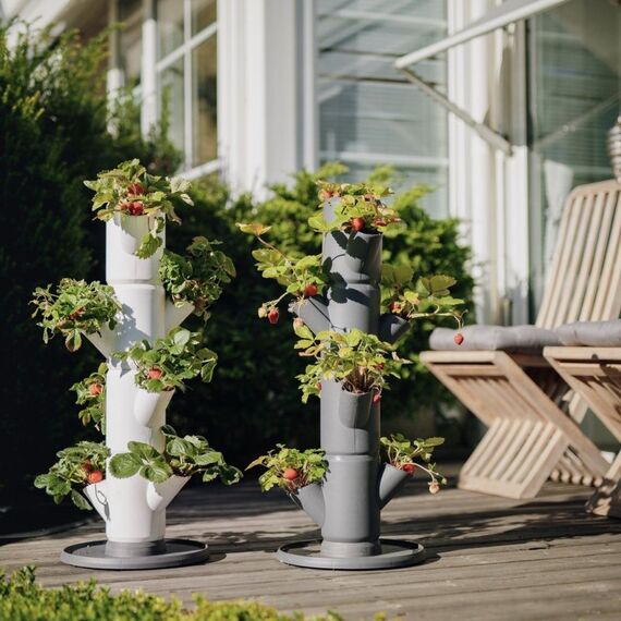 Gusta Garden Sissi Strawberry Starter Draußen Vertikale Pflanzmaschine Freistehend Polypropylen (PP) Weiß, 4 image