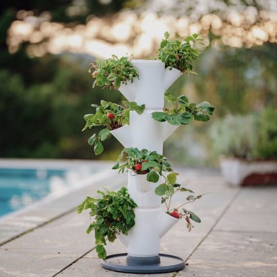 Gusta Garden Sissi Strawberry Starter Draußen Vertikale Pflanzmaschine Freistehend Polypropylen (PP) Weiß, 6 image