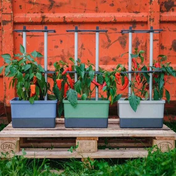 Gusta Garden Charly Chili Drinnen/Draußen Topfpflanzer Freistehend Aluminium, Polypropylen (PP) Hellgrau, Farbe: Hellgrau, 3 image