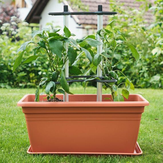 Gusta Garden Chili Buddy Korbpflanzenstütze Kunststoff Schwarz, Grau, 6 image
