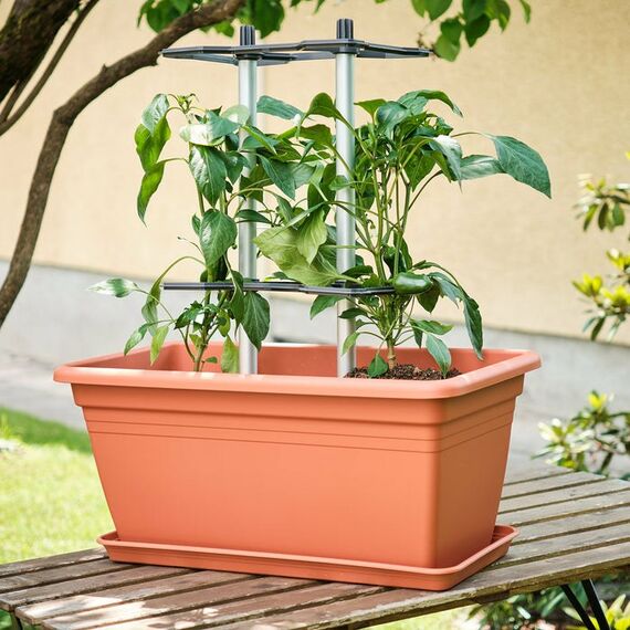 Gusta Garden Chili Buddy Korbpflanzenstütze Kunststoff Schwarz, Grau, 7 image