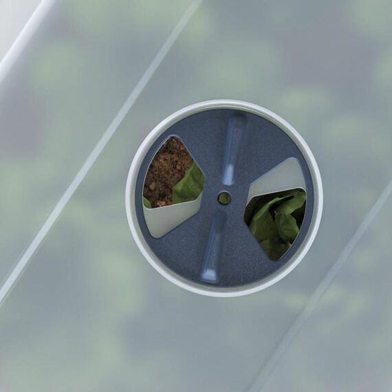 Gusta Garden Sammy Salad Drinnen/Draußen Topfpflanzer Freistehend Polypropylen (PP), Holz Hellgrau, Durchscheinend, Transparent