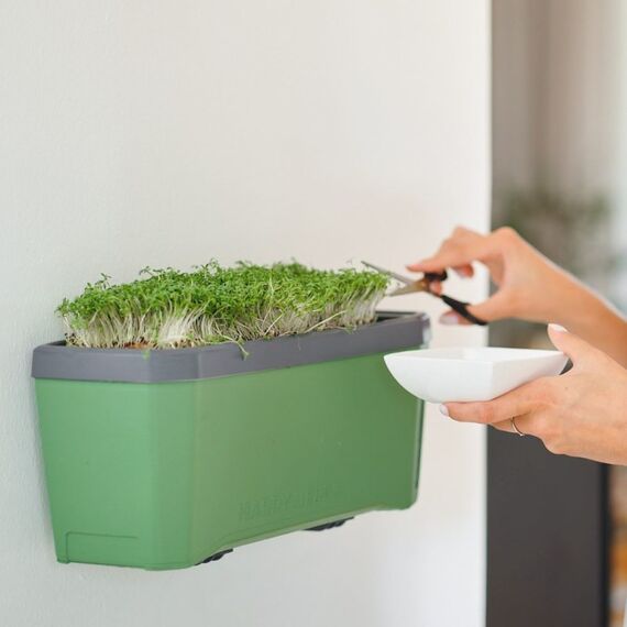 Gusta Garden Harry Herbs Drinnen/Draußen Tischübertopf Freistehend Hellgrau, 2 image