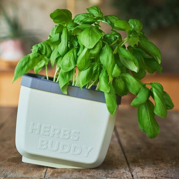 Gusta Garden HERBS BUDDY Grau 3 Stück(e), 3 image