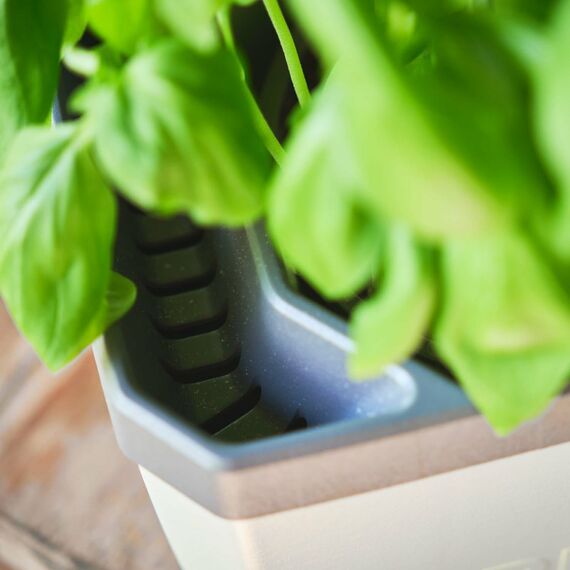 Gusta Garden HERBS BUDDY Grau 3 Stück(e), 4 image