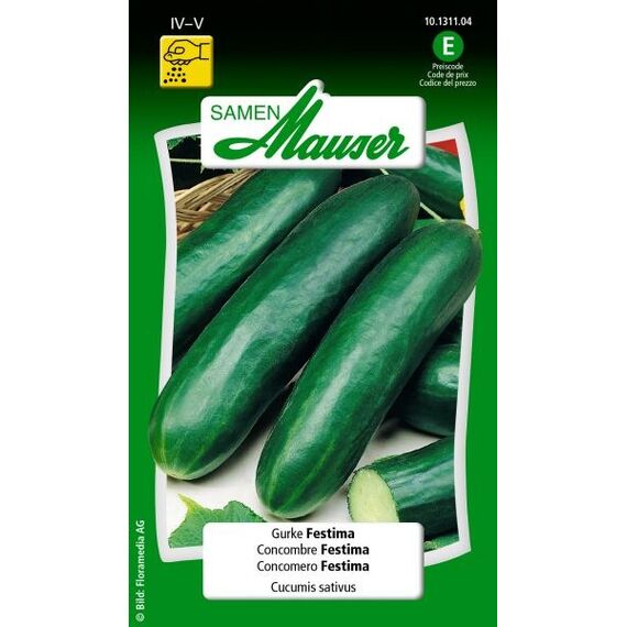 Samen Mauser 10131104 Gemüsesamen Gurke 1 Stück(e)