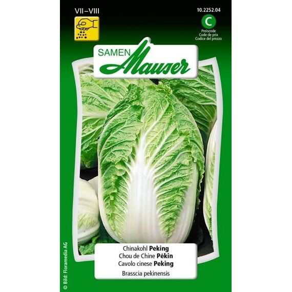 Samen Mauser 10225204 Gemüsesamen Kohl 1 Stück(e)