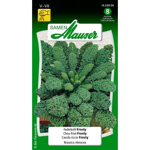 Samen Mauser 10230304 Gemüsesamen Kohl 1 Stück(e)