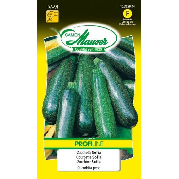Samen Mauser 10305044 Gemüsesamen Zucchini, Zucchini 15 Stück(e)