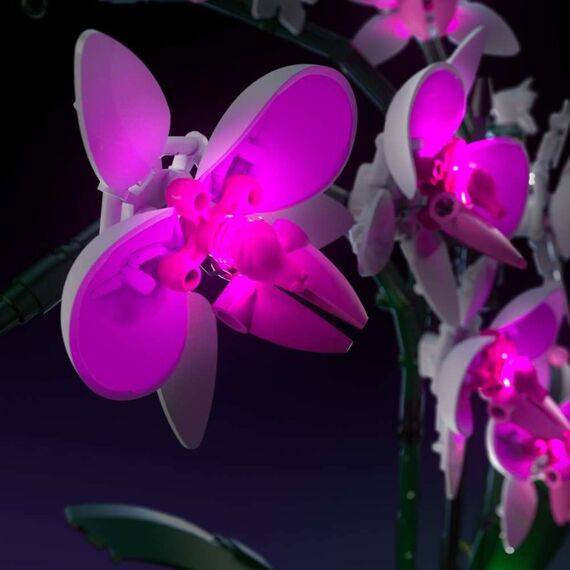 Light My Bricks 103462 Bauspielzeug-Zubehör Beleuchtungsset, 5 image