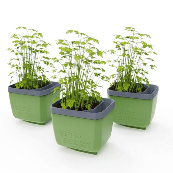 Gusta Garden HERBS BUDDY Grün 3 Stück(e), 2 image