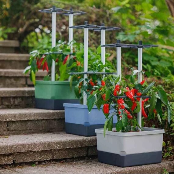 Gusta Garden Charly Chili Drinnen/Draußen Topfpflanzer Freistehend Polypropylen (PP), Aluminium Blau, Farbe: Blau