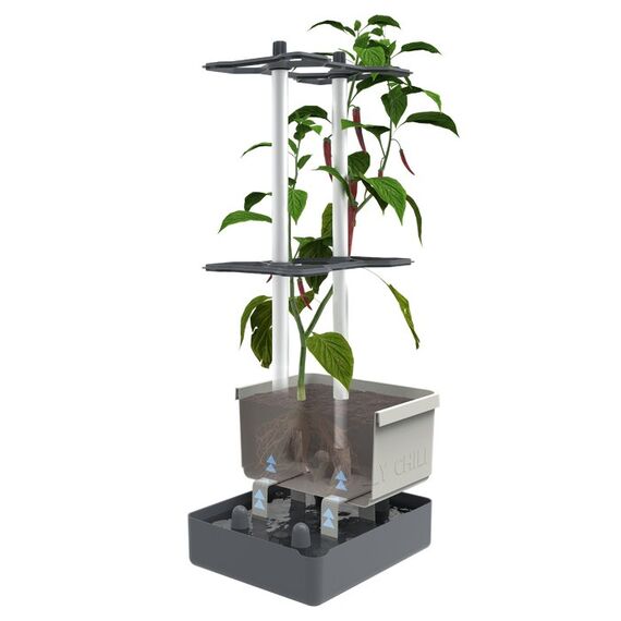 Gusta Garden CHARLY CHILI XL, Farbe: Blau, Grau, 2 image