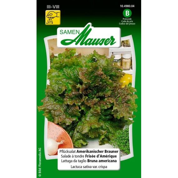 Samen Mauser 10498004 Gemüsesamen Salat