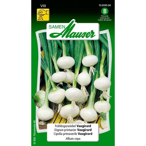 Samen Mauser 10659504 Gemüsesamen Zwiebel