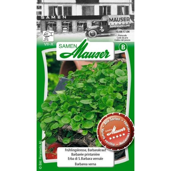 Samen Mauser 10661704 Gemüsesamen Gartenkresse